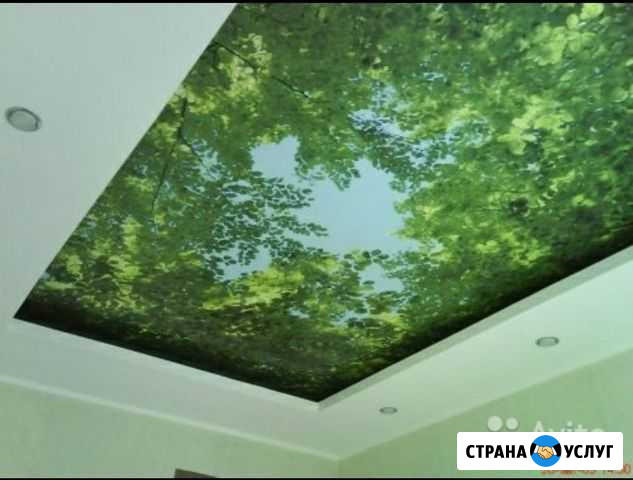 Натяжные потолки Грозный - изображение 1