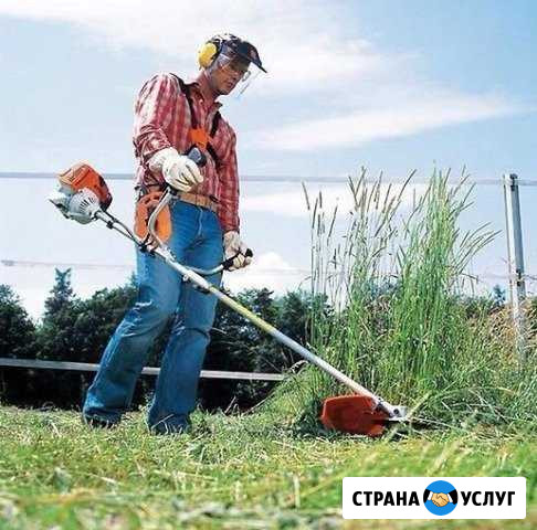 Покос травы Мурманск - изображение 1