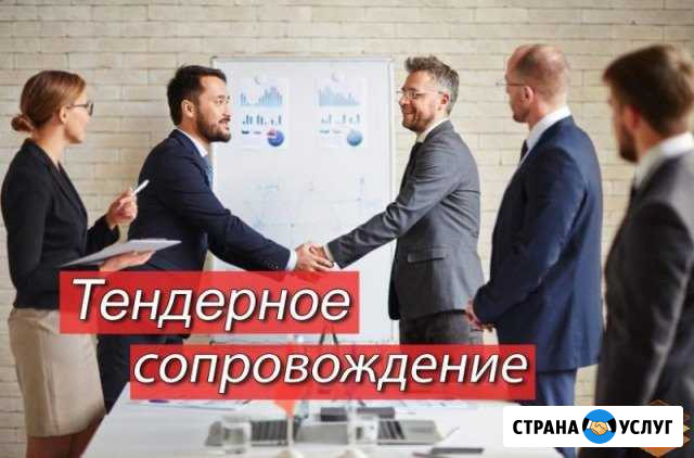 Тендерное сопровождение, продажа квартир, домов Чита - изображение 1