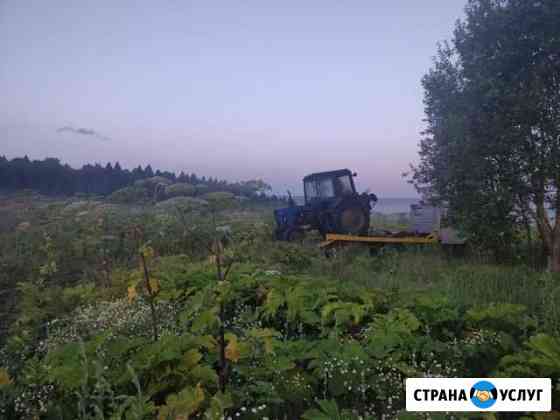 Покос борщевика и травы Клин
