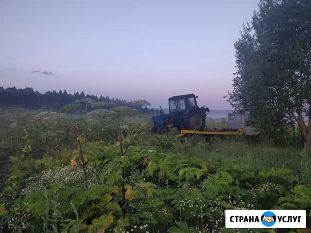 Покос борщевика и травы Клин - изображение 1