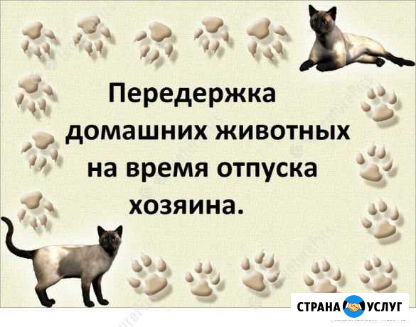 Передержка животных Воркута - изображение 1