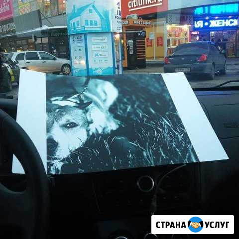 Фото, визитки, кружки, наклейки Курск - изображение 1