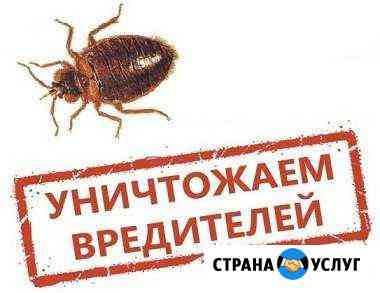 Дезинсекция-уничтожение клопов, тараканов и др. на Альметьевск