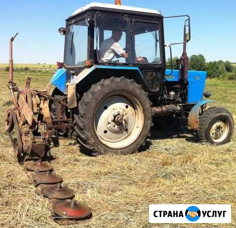 Покос травы Трактором мтз (или триммером) Красноярск - изображение 1