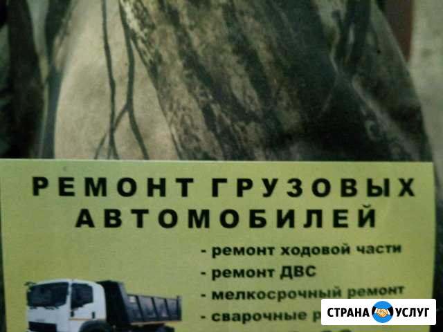 Ремонт японских грузовиков Новосибирск - изображение 1