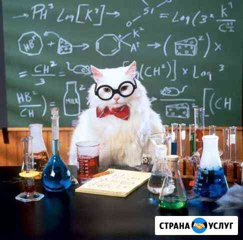 Репетитор по математике Нижневартовск