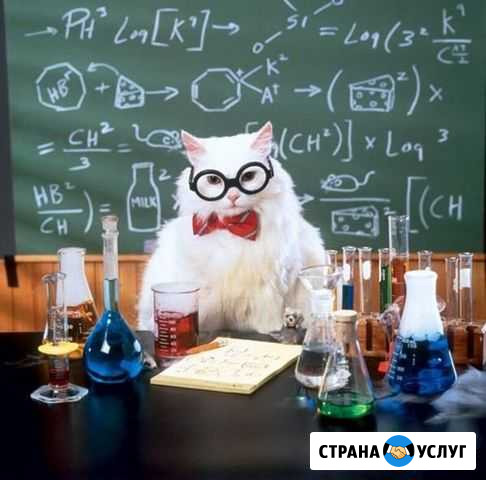 Репетитор по математике Нижневартовск - изображение 1