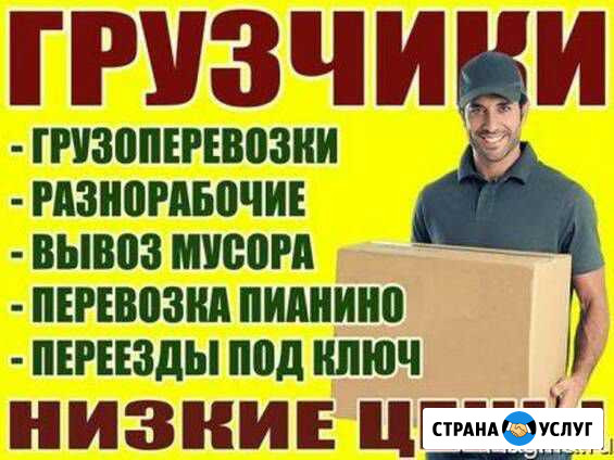 Услуги грузчиков Чебоксары - изображение 1