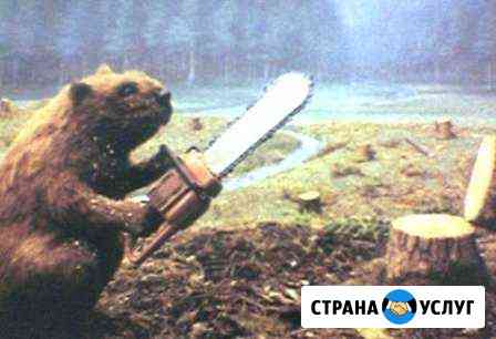 Валка деревьев Новомосковск
