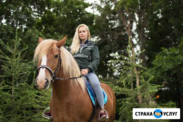 Фотосессия на лошадях Санкт-Петербург - изображение 1