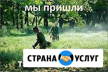 Покос травы,камыша,поросли Ленинск - изображение 1