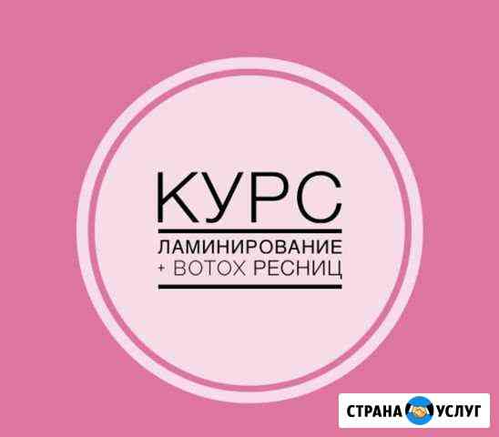 Обучающий курс Владимир