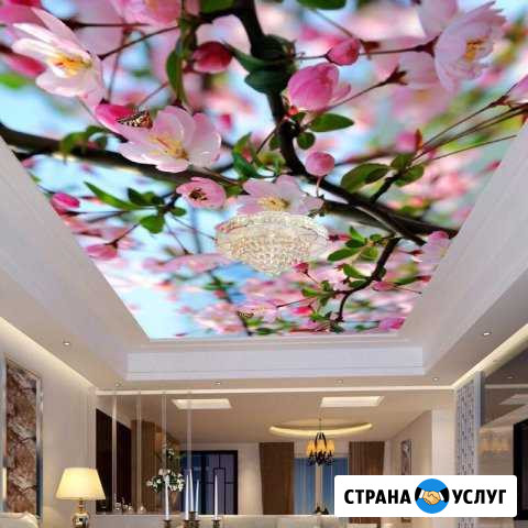 Натяжные потолки Каменск-Шахтинский - изображение 1