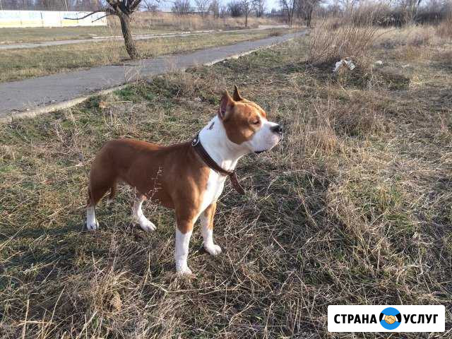 Вязка Волгодонск - изображение 1