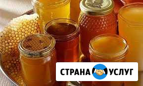 Мёд Камышин - изображение 1