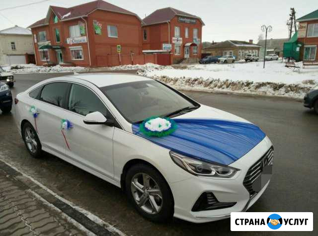 Для свадьбы Алексеевка Белгородской области - изображение 1