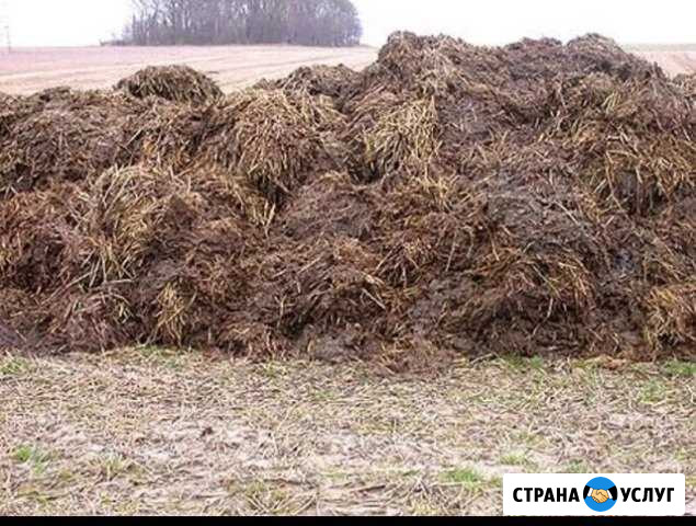 Дрова,песок,земля,щебень Сиверский - изображение 1
