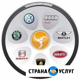 Кодирование функций VaG. Диагностика подогревателе Саранск - изображение 1
