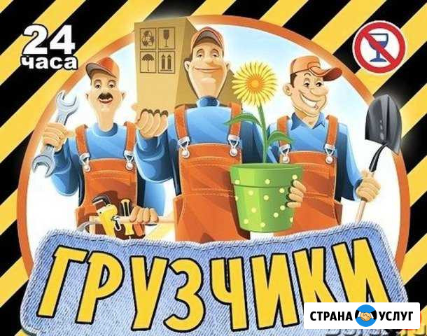 Грузчики Воронеж - изображение 1