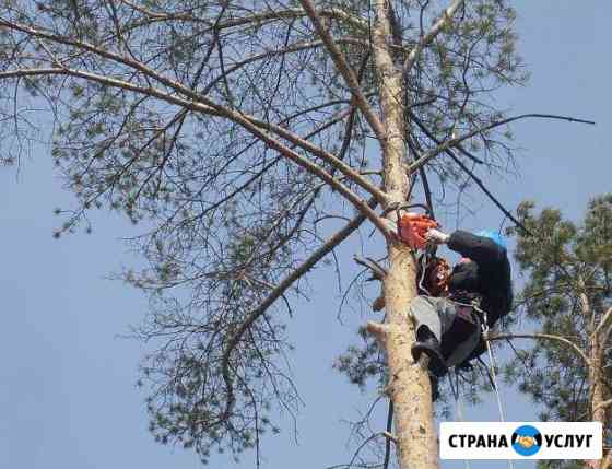 Удаление деревьев уборка участков Жуковский