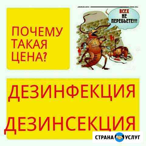 Уничтожение(травим) тараканов, клопов, муравьёв/уд Ростов-на-Дону