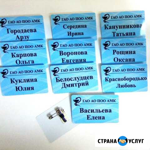 Бейджи пластиковые Благовещенск - изображение 1