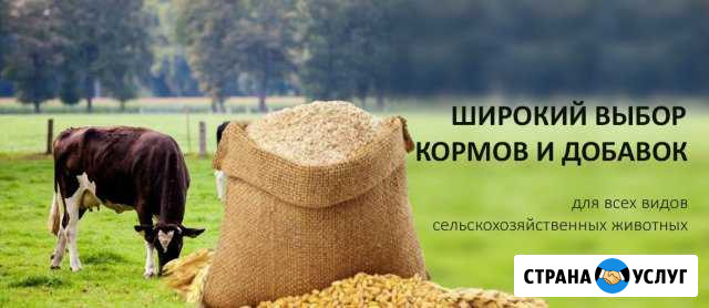 Зерно,отруби,комбикорм для животных,птиц, доставка Елец - изображение 1