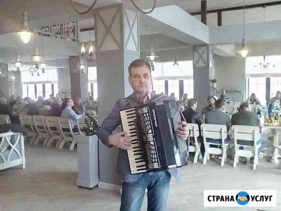 Аккордеон,Рояль,Ведущий, дуэт шотландские перцы Новороссийск