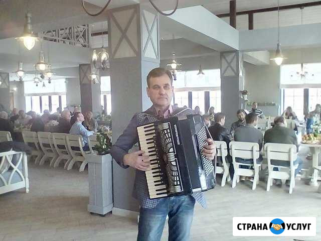 Аккордеон,Рояль,Ведущий, дуэт шотландские перцы Новороссийск - изображение 1