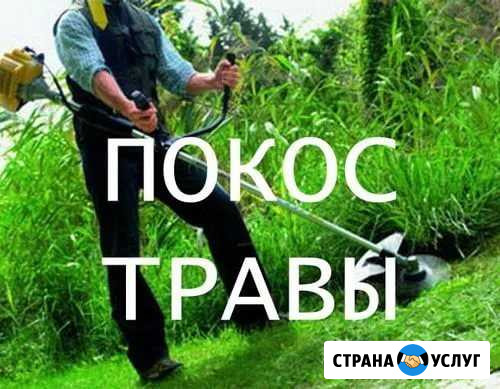 Покос травы Зерноград - изображение 1
