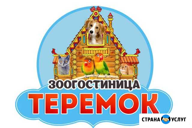 Зоогостиница для животных «Теремок» Петрозаводск - изображение 1