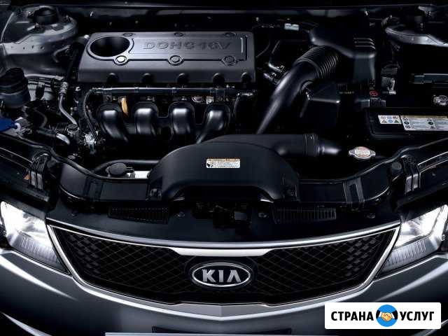 Диагностика и ремонт автомобилей KIA и Hyundai Москва - изображение 1