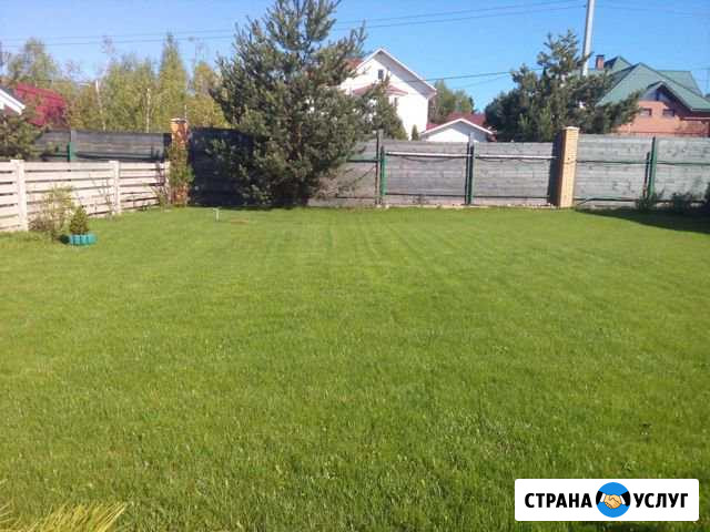 Стрижка газона. Покос газона Саяногорск - изображение 1