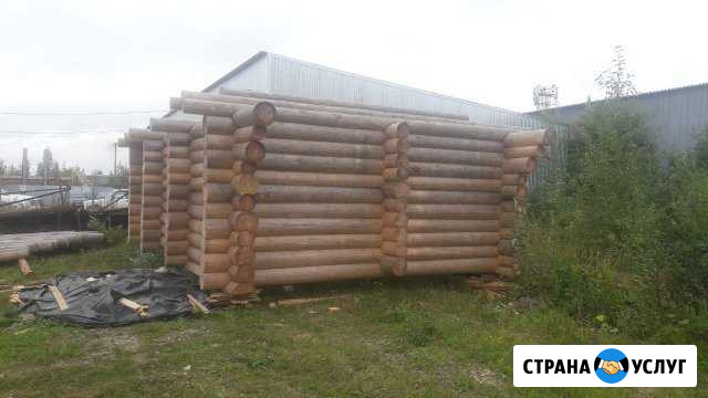 Бесплатные срубы для молодых семей и многодетных Вологда - изображение 1