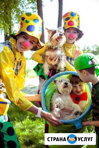 Дог-Шоу. Цирковые собачки Краснодар - изображение 1