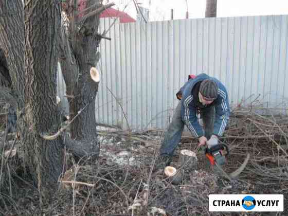 Скос травы спил деревьев Калач