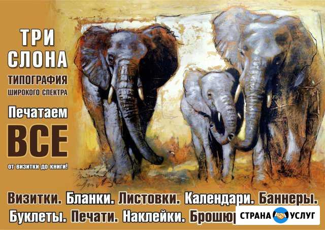 Типография Три Слона Дзержинск - изображение 1