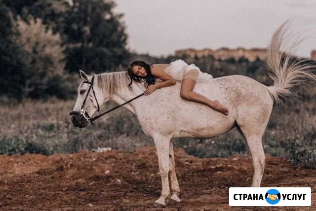 Фотосессия с лошадьми Московский - изображение 1