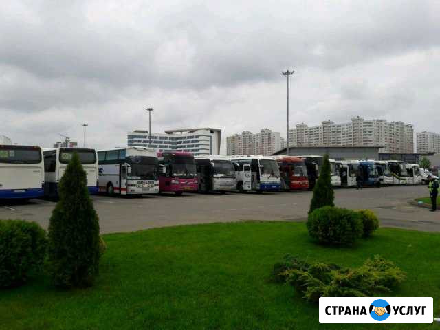 Аренда автобуса от 6-75 мест Казань - изображение 1
