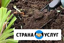 Земля, торф Всеволожск - изображение 1