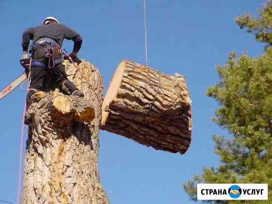 Срубить дерево. Спилить дерево. Удалить дерево Серпухов