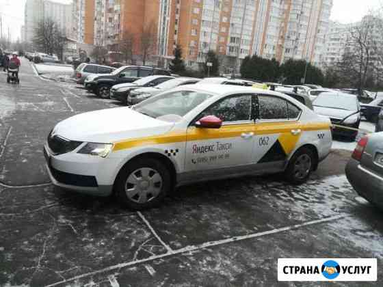 Аренда такси шкода октавиа Москва