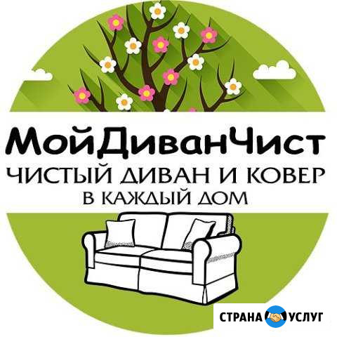 Химчистка дивана, мягкой мебели и ковров Воронеж - изображение 1