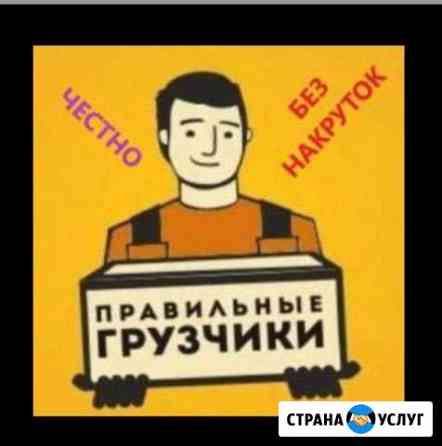 Грузчики компании абристерра Томск