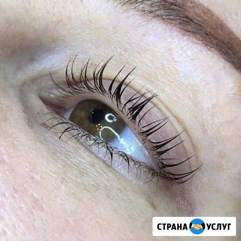 Ламинирование, вельвет и ботокс ресниц Северск - изображение 1