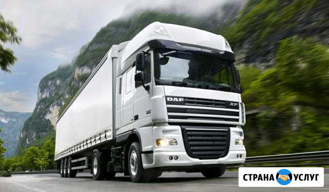 Диагностика Электрика DAF даф Краснодар - изображение 1