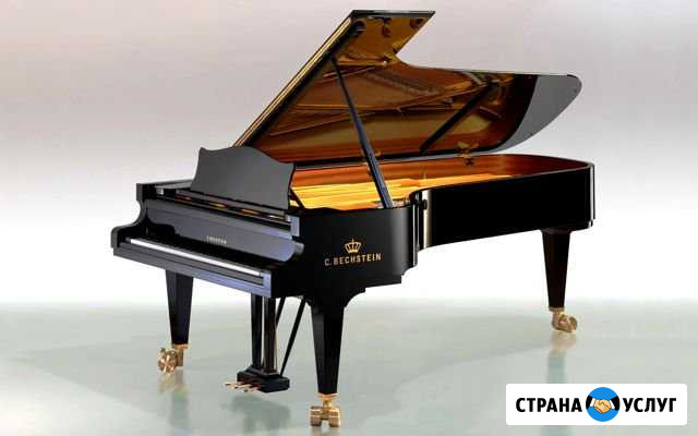 Настройщик. Настройка пианино, фортепиано, баяна Краснодар - изображение 1