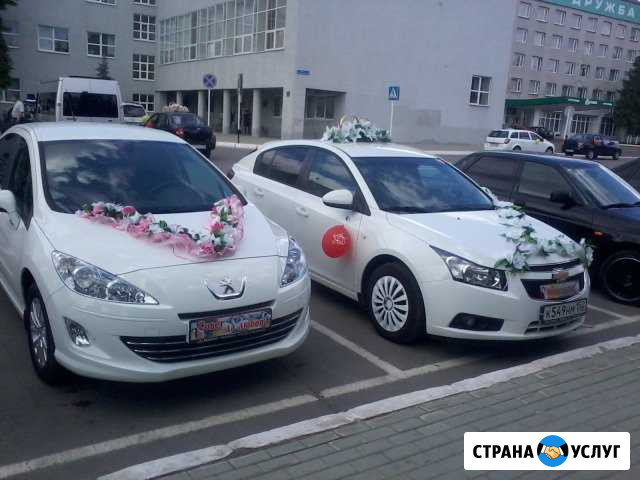Авто на свадьбу Дзержинск - изображение 1