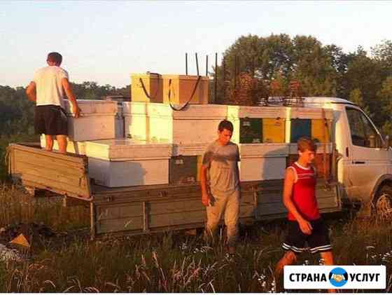 Мед с частных пасек в г.Челябинск Челябинск